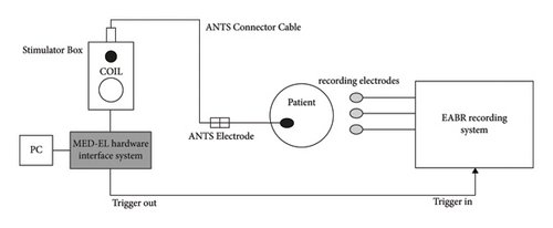 Details are in the caption following the image Details are in the caption following the image