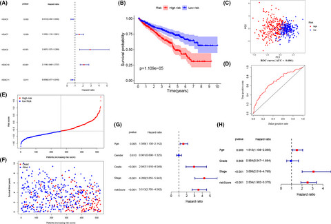 Comprehensive analysis of a new prognosis signature based on histone deacetylases in clear cell renal cell carcinoma
