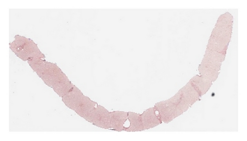 Details are in the caption following the image