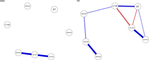 Exploring the social cognition network in young adults with autism spectrum disorder using graph analysis