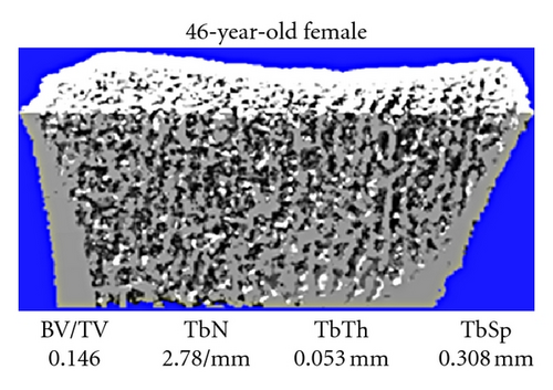 Details are in the caption following the image
