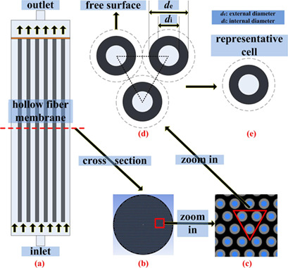 Transient Simulation of Hollow-Fiber Membrane Filtration with Nonuniform Permeability Distribution