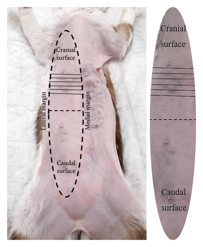 Details are in the caption following the image