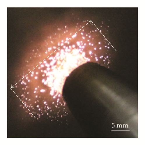 Details are in the caption following the image