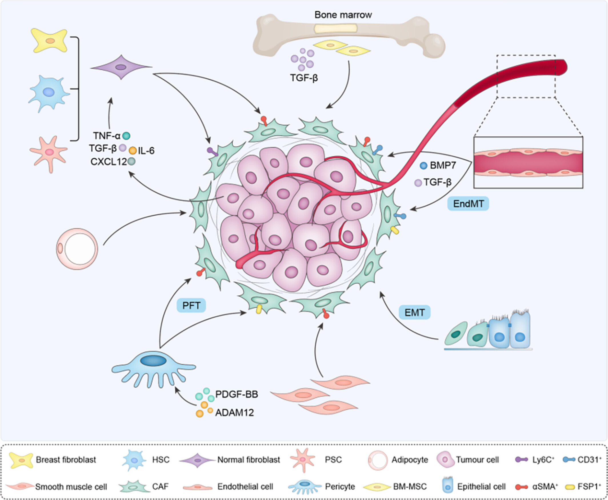 Single-cell RNA sequencing to explore cancer-associated fibroblasts heterogeneity: “Single” vision for “heterogeneous” environment