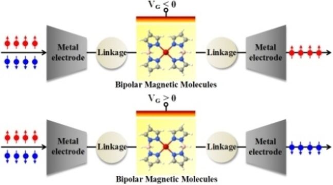 Bipolar Magnetic Molecules for Spin-Polarized Electric Current in Molecular Junctions