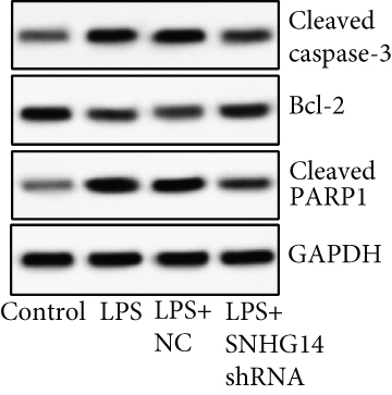 Details are in the caption following the image