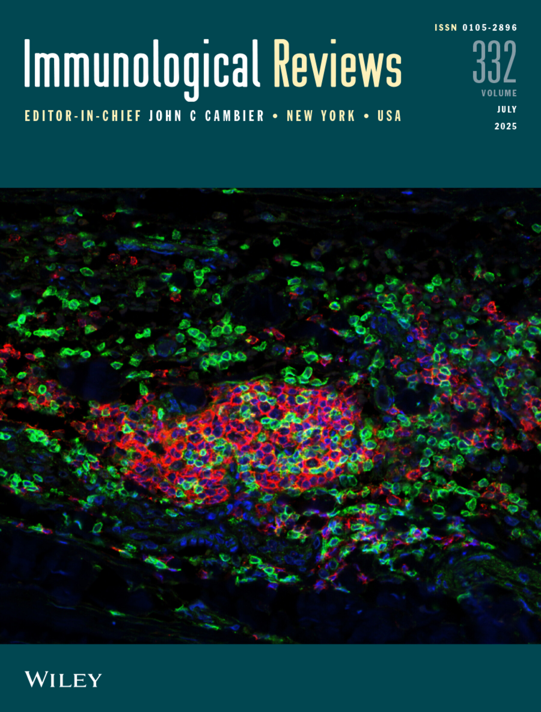 Additional Cover Issue 1, 2025