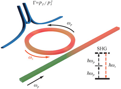 Spatio-Temporal Nonlinear Theory in Birefringent Microrings