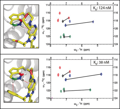 PI by NMR: Probing CH–π Interactions in Protein–Ligand Complexes by NMR Spectroscopy