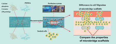 Construction of Microfluidic Chip Structure for Cell Migration Studies in Bioactive Ceramics
