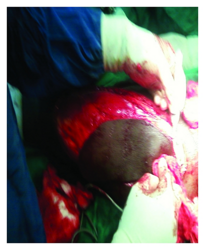 Details are in the caption following the image Details are in the caption following the image