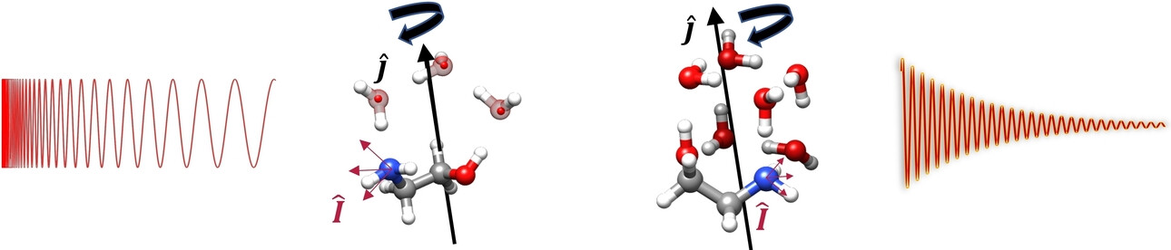 Structural and Electronic Evolution of Ethanolamine upon Microhydration: Insights from Hyperfine Resolved Rotational Spectroscopy