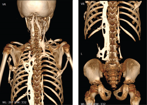 Details are in the caption following the image Details are in the caption following the image