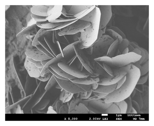 Details are in the caption following the image