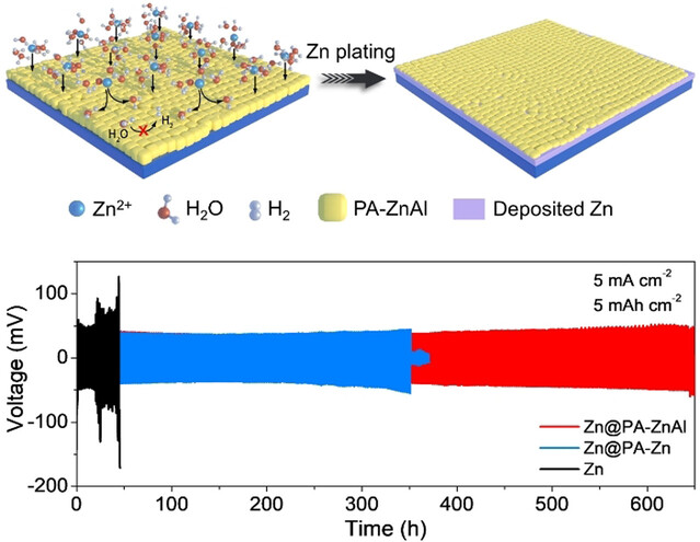 Zincophilic Interfacial Manipulation against Dendrite Growth and Side Reactions for Stable Zn Metal Anodes