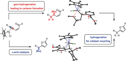 Mechanistic Divergence in the Hydrogenative Synthesis of Furans and Butenolides: Ruthenium Carbenes Formed by gem-Hydrogenation or through Carbophilic Activation of Alkynes
