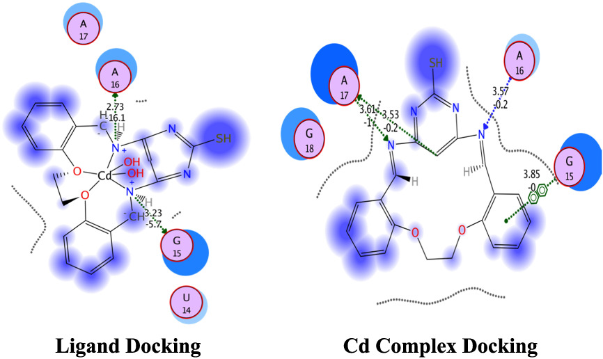 Coordination behaviour and biological activity studies involving theoretical docking of bis-Schiff base ligand and some of its transition metal complexes