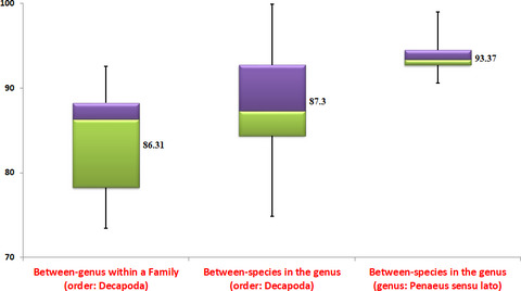 Phylogenetic relations and mitogenome-wide similarity metrics reveal monophyly of Penaeus sensu lato