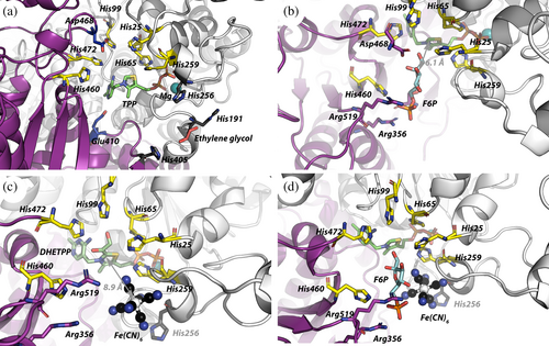 Details are in the caption following the image Details are in the caption following the image