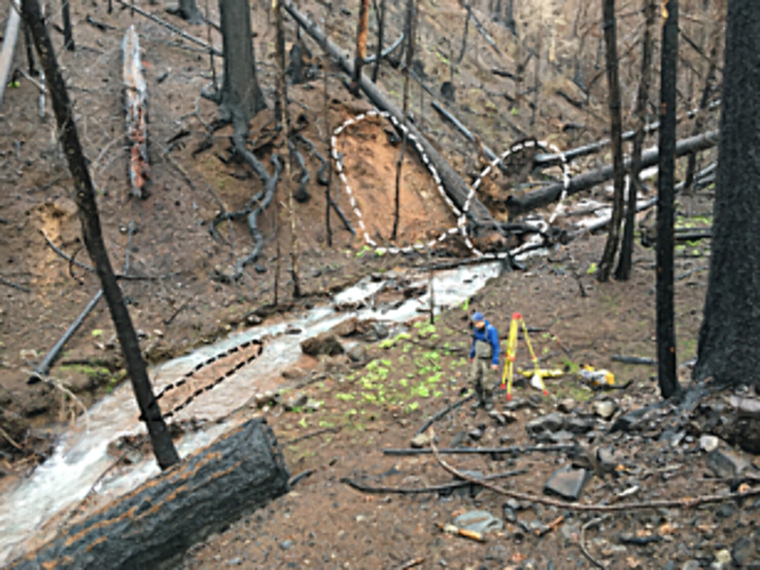 Hydrogeomorphic response of steep streams following severe wildfire in the Western cascades, Oregon
