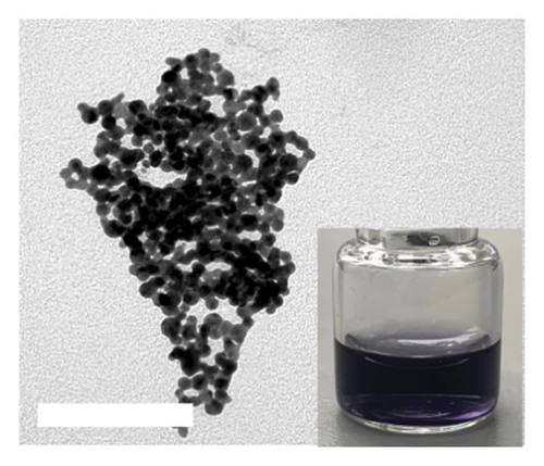 Details are in the caption following the image Details are in the caption following the image