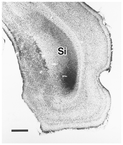 Details are in the caption following the image
