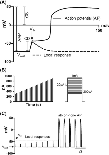 Details are in the caption following the image Details are in the caption following the image