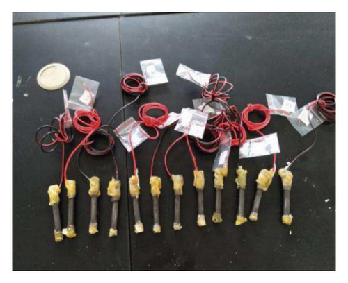 Details are in the caption following the image Details are in the caption following the image