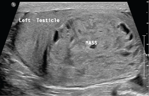 Details are in the caption following the image