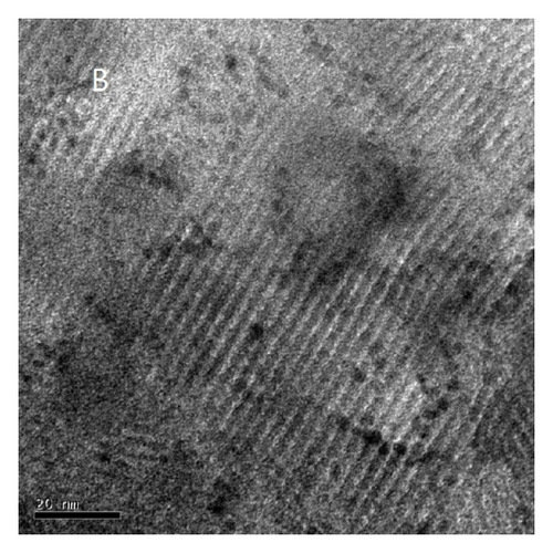 Details are in the caption following the image