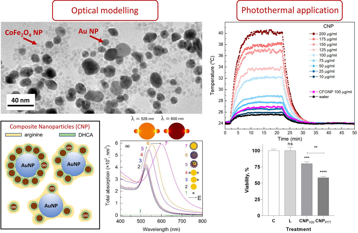 Gold/cobalt ferrite nanocomposite as a potential agent for photothermal therapy