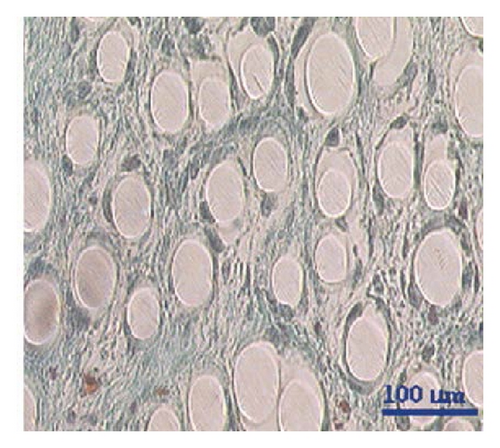 Details are in the caption following the image