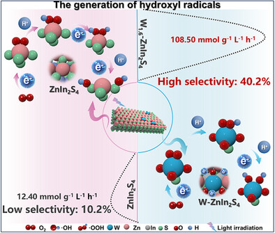 d-Orbital Single Electron Filling O─O π* Bonds on WO3S1 Sites for Highly Selective Generation of Hydroxyl Radicals