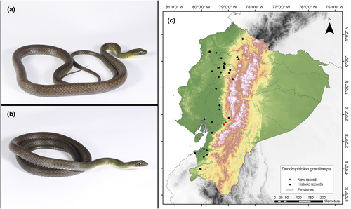 Details are in the caption following the image