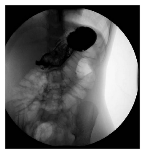 Details are in the caption following the image Details are in the caption following the image