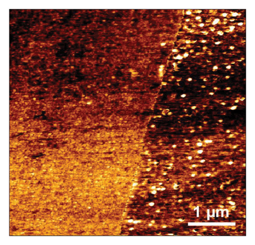 Details are in the caption following the image