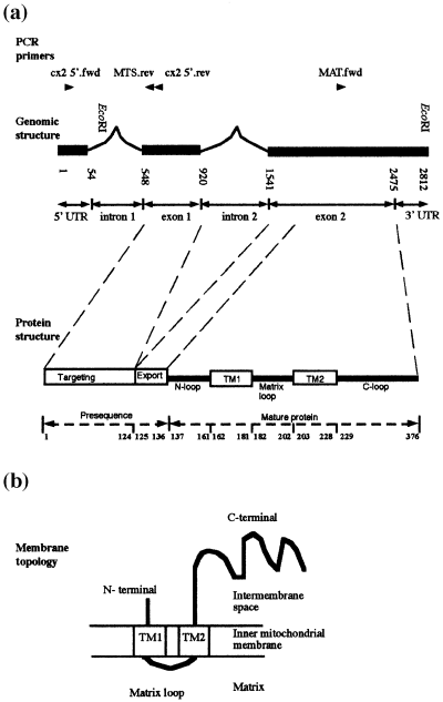 Details are in the caption following the image Details are in the caption following the image