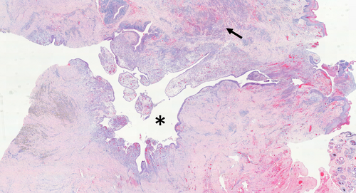 Details are in the caption following the image Details are in the caption following the image