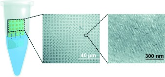 Self-Assembly of Vertically Aligned Gold Nanorod Arrays on Patterned Substrates