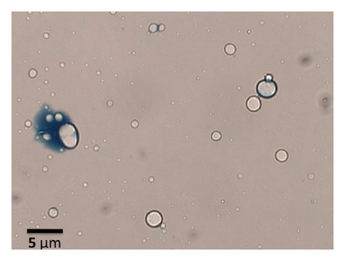 Details are in the caption following the image