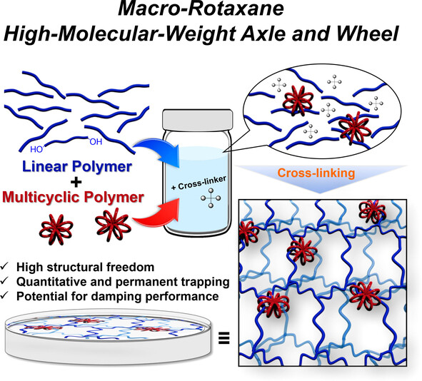 Rotaxane Formation of Multicyclic Polydimethylsiloxane in a Silicone Network: A Step toward Constructing “Macro-Rotaxanes” from High-Molecular-Weight Axle and Wheel Components