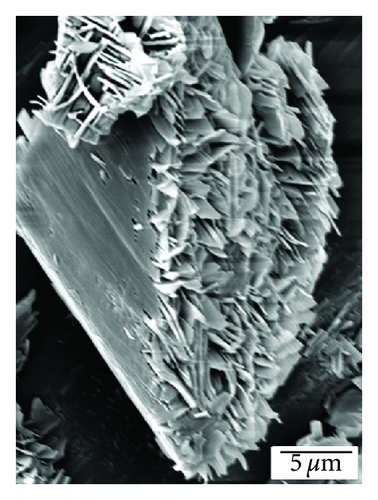 Details are in the caption following the image