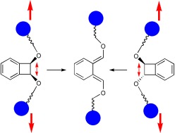 Das Auslösen und Steuern chemischer Reaktionen durch Ultraschall