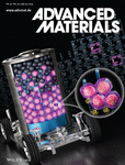 Advanced Materials
