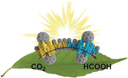 Molecular Semiconductor Surfactants with Fullerenol Heads and Colored Tails for Carbon Dioxide Photoconversion