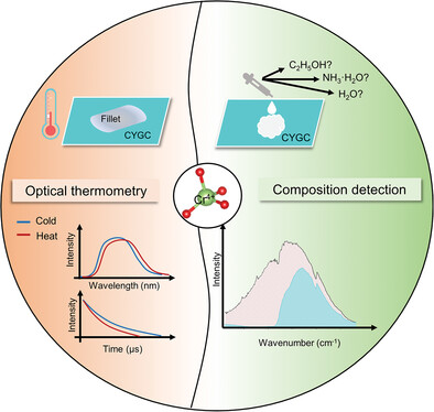 NIR-II Luminescence in Cr4+ Activated CaYGaO4 toward Non-Invasive Temperature Sensing and Composition Detection