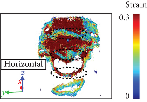 Details are in the caption following the image Details are in the caption following the image