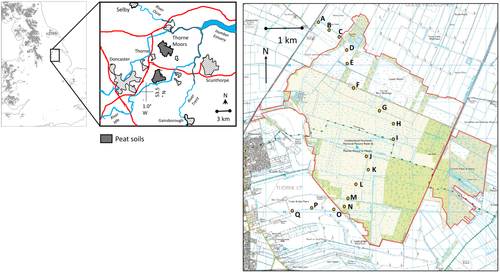 Details are in the caption following the image Details are in the caption following the image