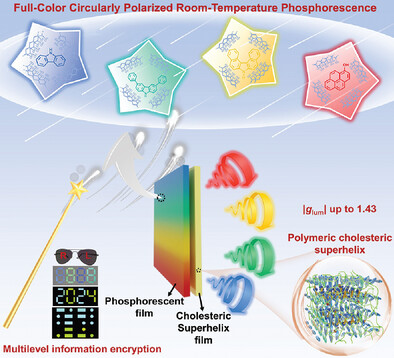 Polymeric Cholesteric Superhelix Induced by Chiral Helical Polymer for Achieving Full-Color Circularly Polarized Room-Temperature Phosphorescence with Ultra-High Dissymmetry Factor